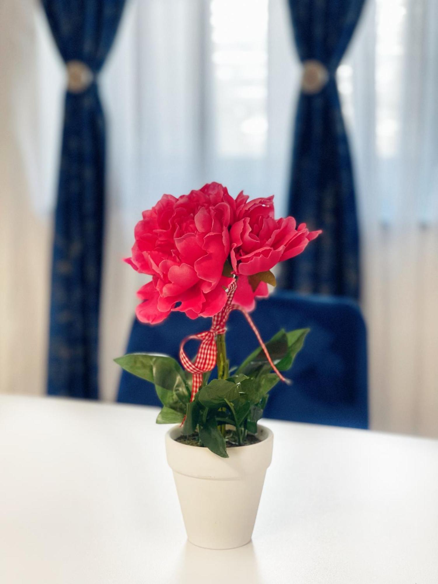 אראד Rv Premium Apartments מראה חיצוני תמונה
